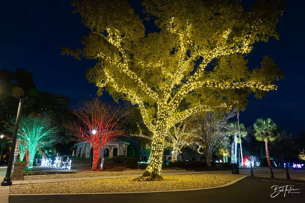 20241214-Christnas Lights -1.jpg