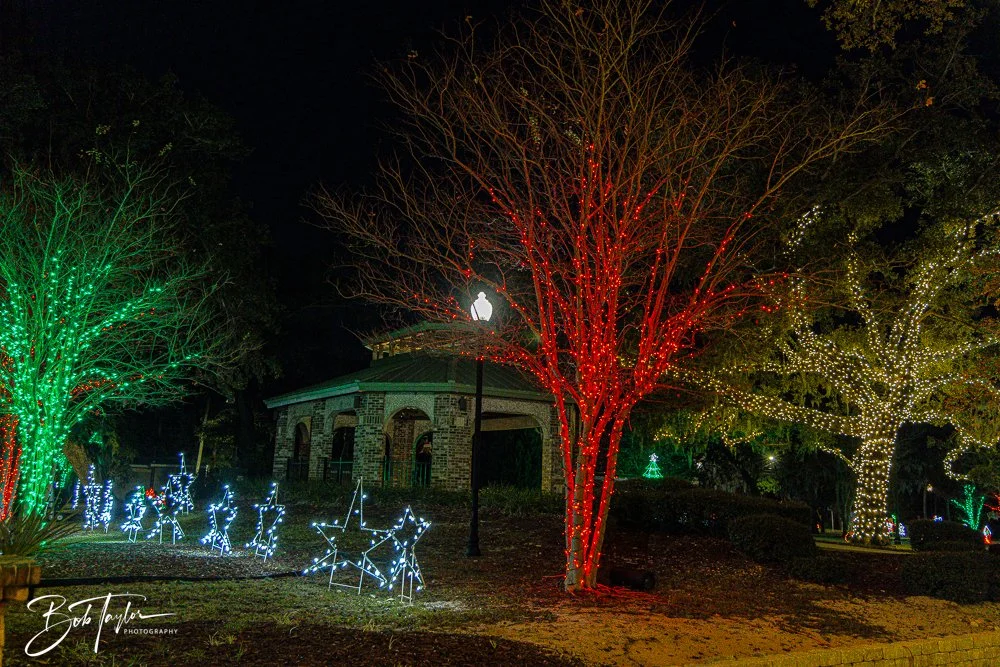 20241214-Christnas Lights -17.jpg