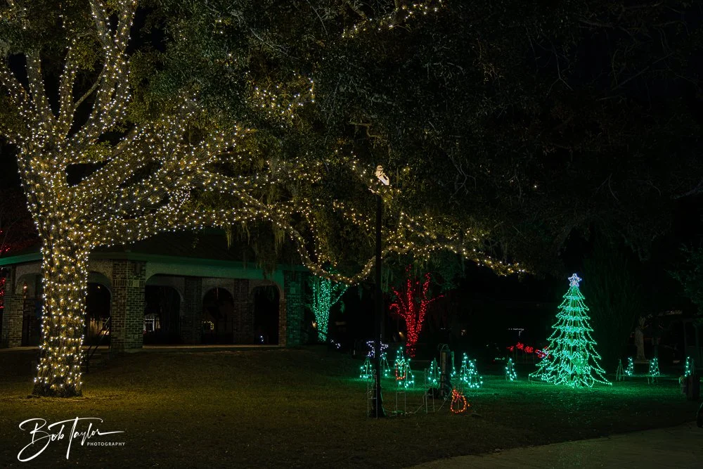 20241214-Christnas Lights -13.jpg