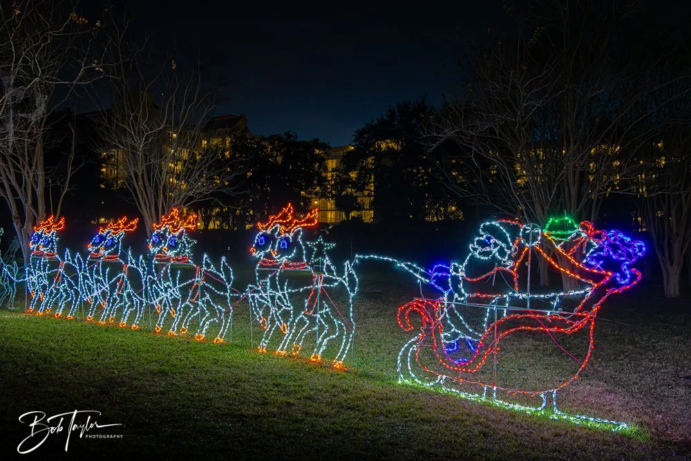 20241214-Christnas Lights -14.jpg