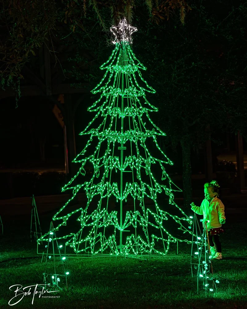 20241214-Christnas Lights -10.jpg