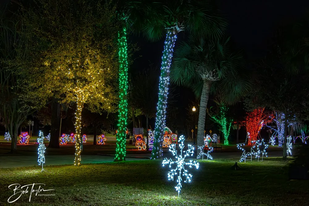 20241214-Christnas Lights -11.jpg