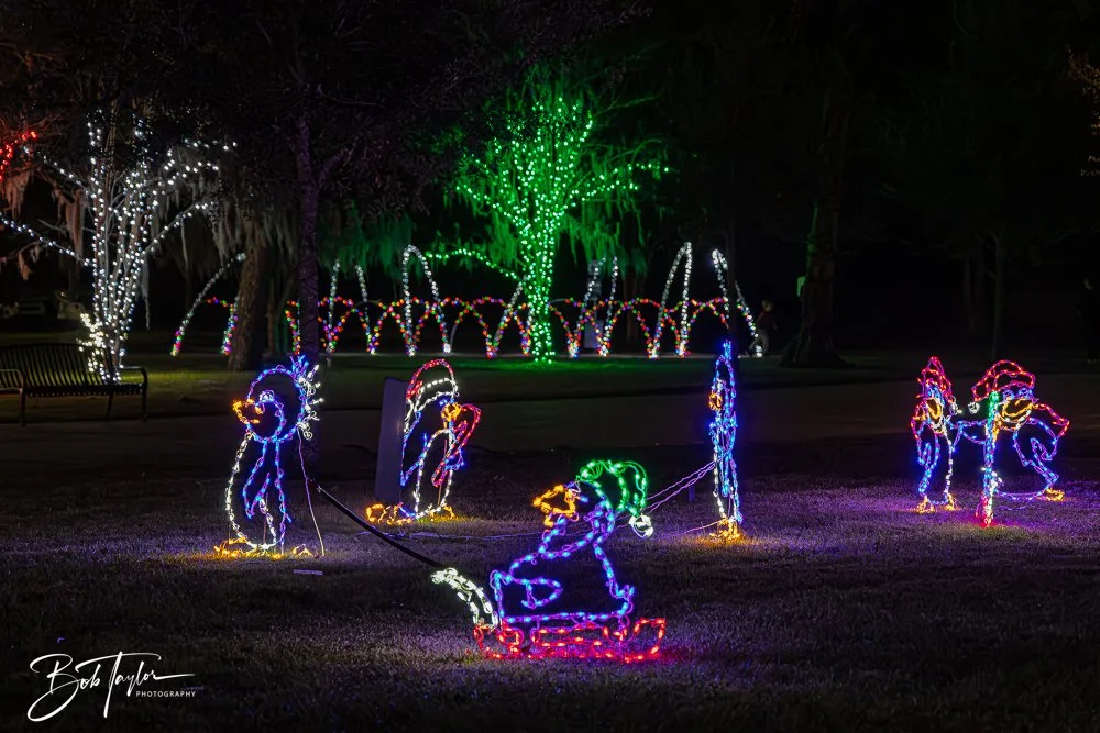 20241214-Christnas Lights -12.jpg