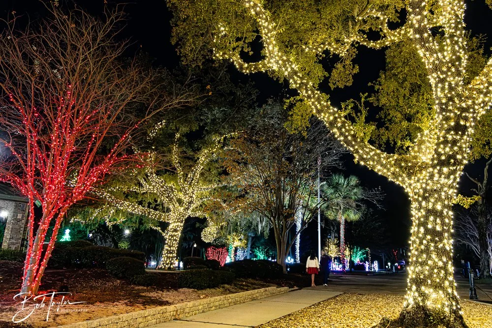 20241214-Christnas Lights -16.jpg