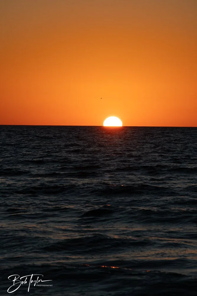 20251113-Cape San Blas All -173.jpg