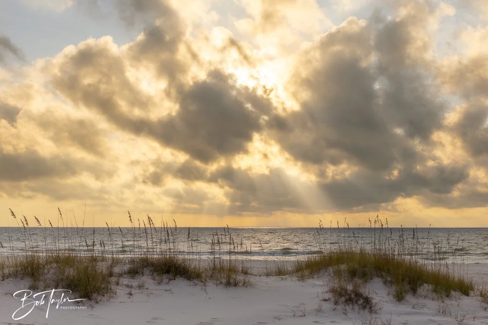 20251109-Cape San Blas All -9.jpg