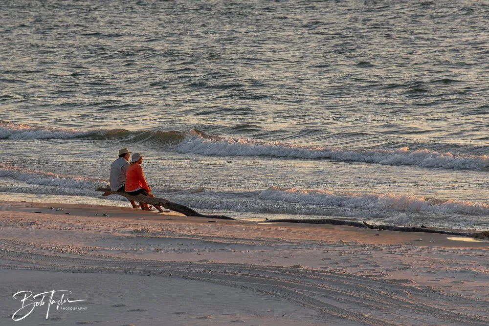 20251113-Cape San Blas All -164.jpg