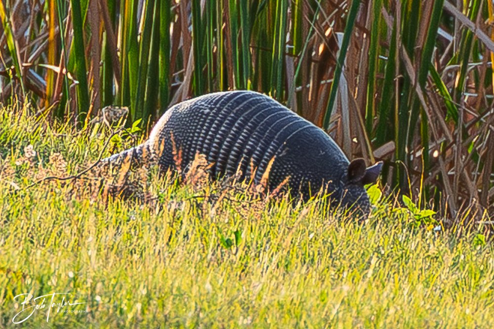 20251109-Cape San Blas All -14.jpg