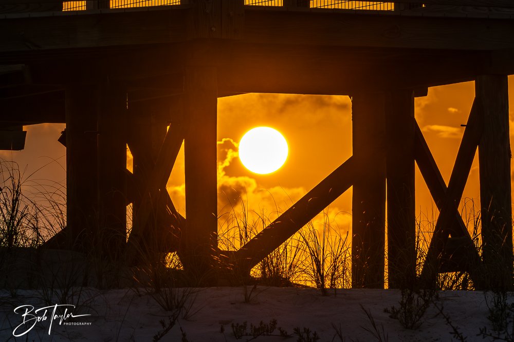 20251109-Cape San Blas All -19.jpg