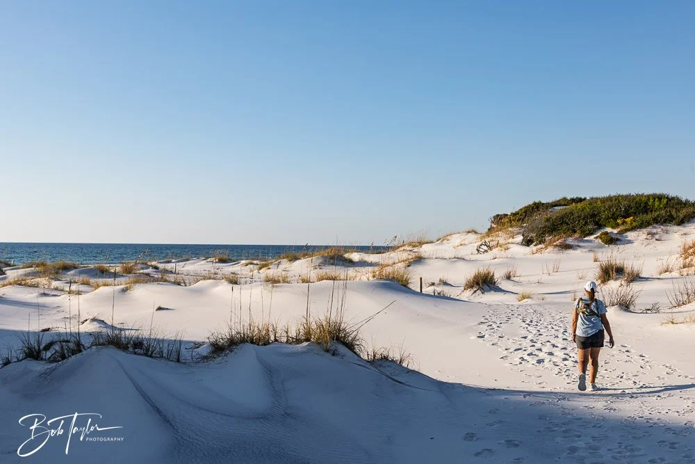 20251114-Cape San Blas All -237.jpg