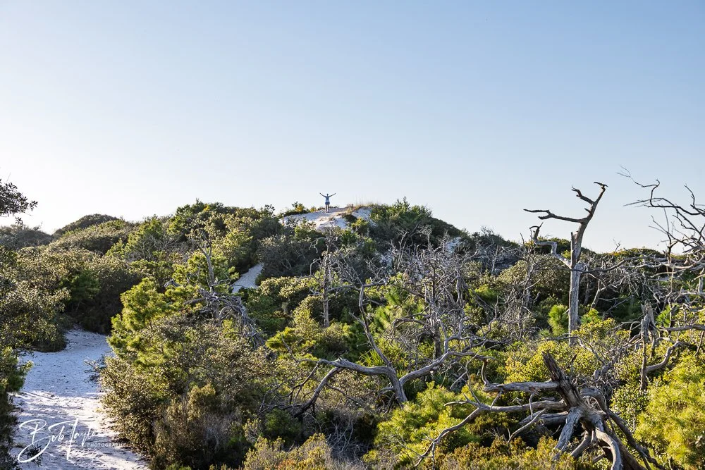 20251114-Cape San Blas All -235.jpg