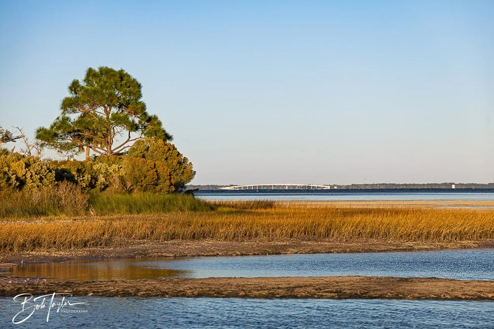 20251110-Cape San Blas All -26.jpg
