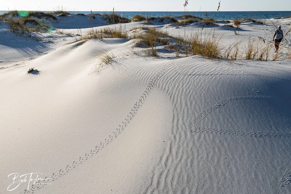 20251114-Cape San Blas All -238.jpg