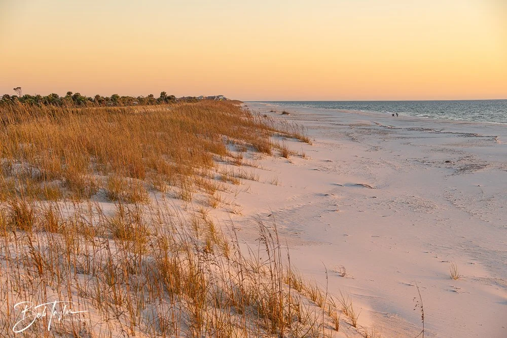 20251113-Cape San Blas All -165.jpg