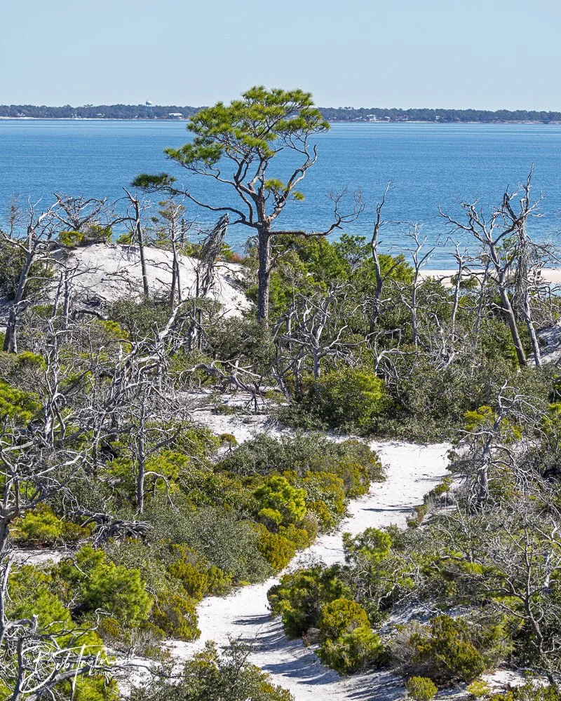 20251112-Cape San Blas All -87.jpg