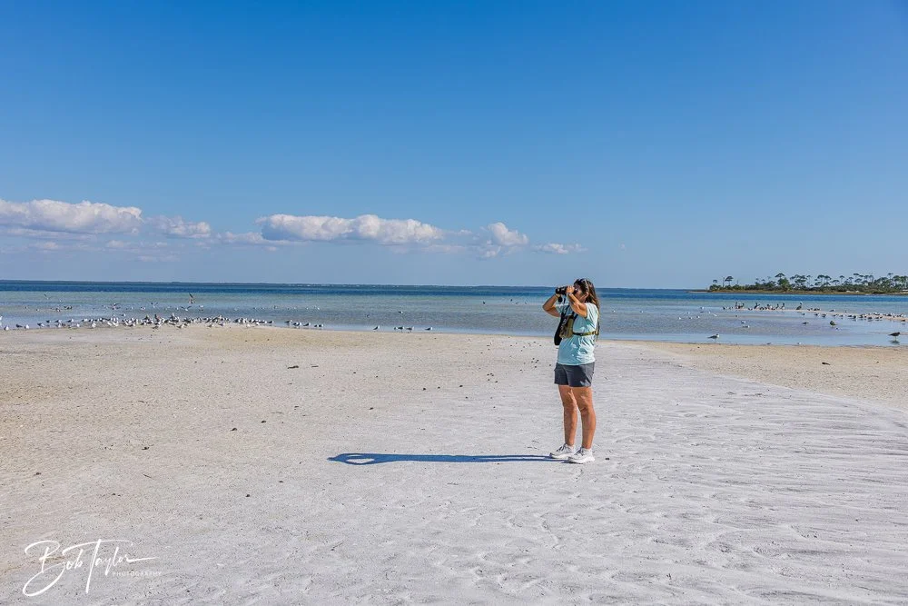 20251113-Cape San Blas All -154.jpg