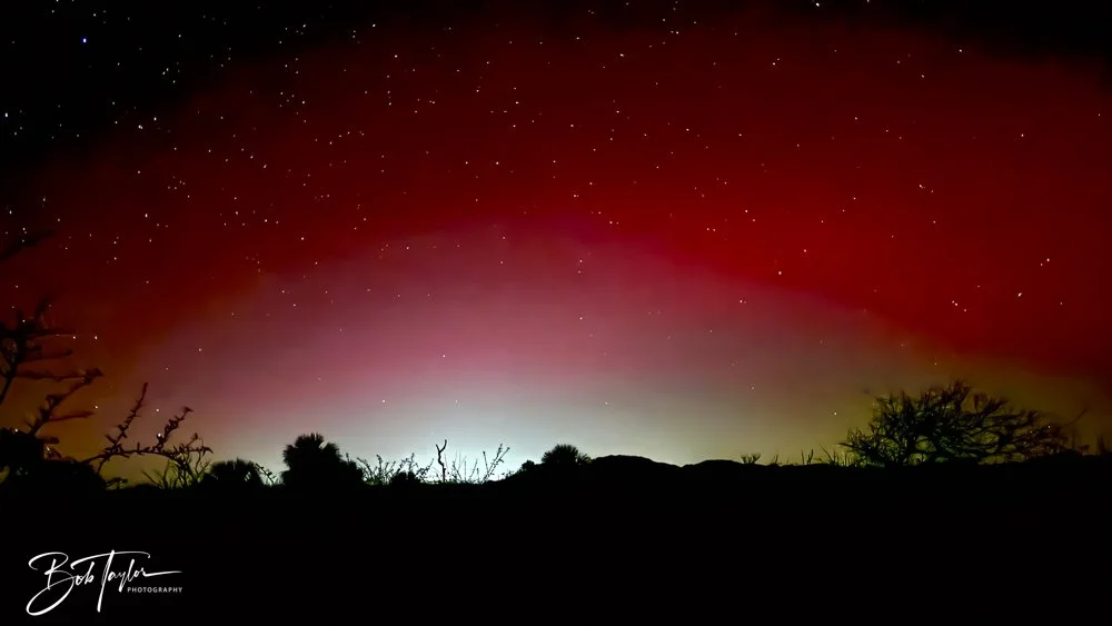 20251111-Cape San Blas All -68.jpg