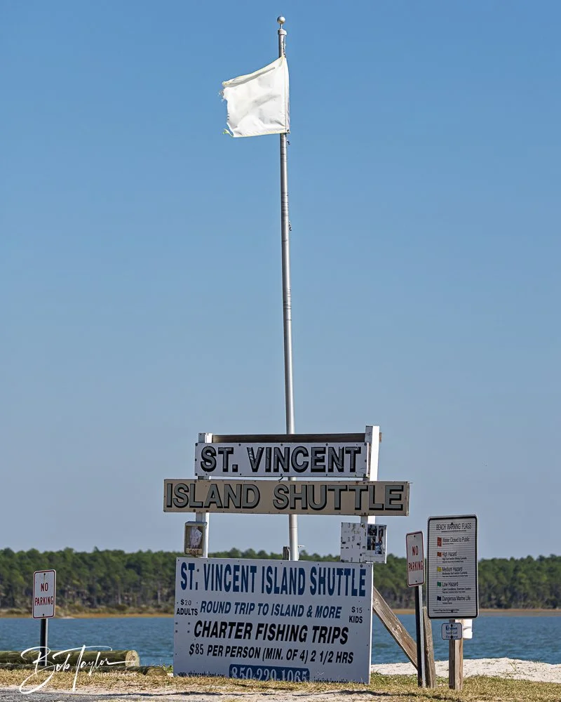 20251114-Cape San Blas All -187.jpg