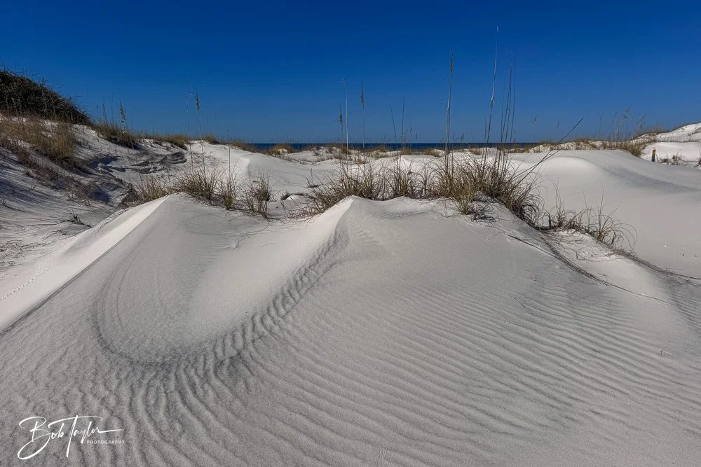 20251112-Cape San Blas All -96.jpg