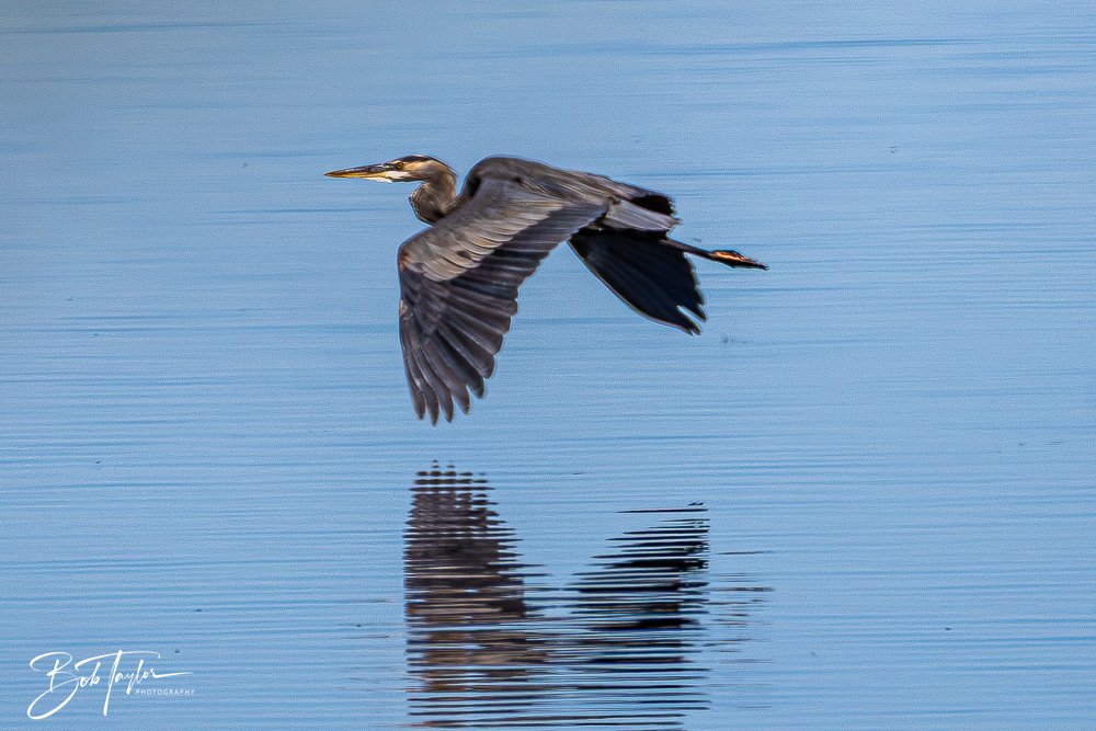 20251112-Cape San Blas All -90.jpg