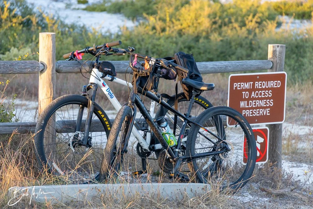 20251114-Cape San Blas All -244.jpg