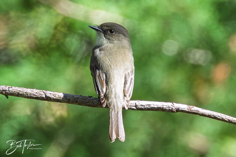 20251114-Cape San Blas All -200.jpg