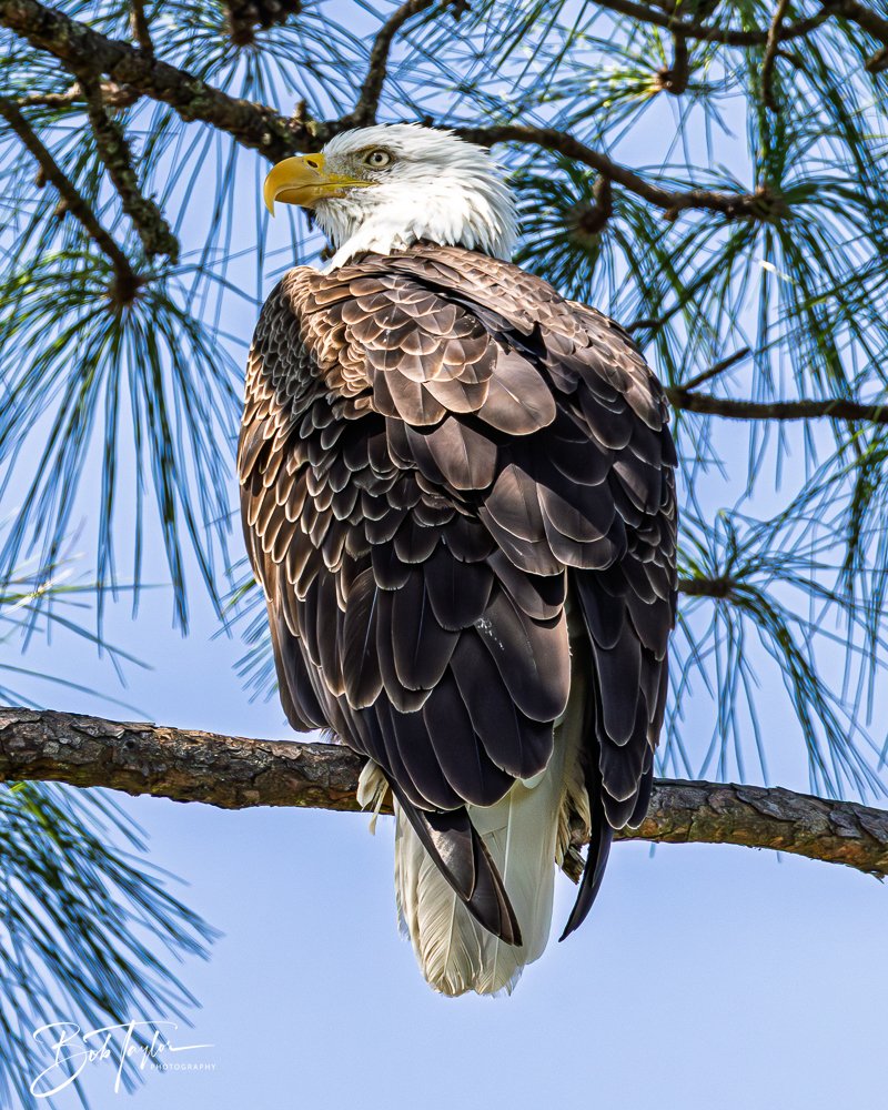 20251114-Cape San Blas All -210.jpg