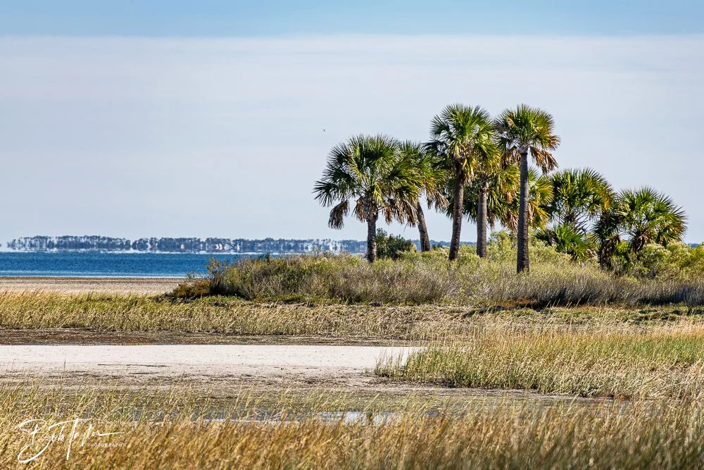 20251111-Cape San Blas All -58.jpg