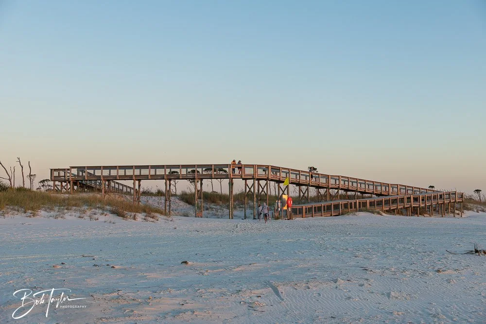 20251113-Cape San Blas All -170.jpg