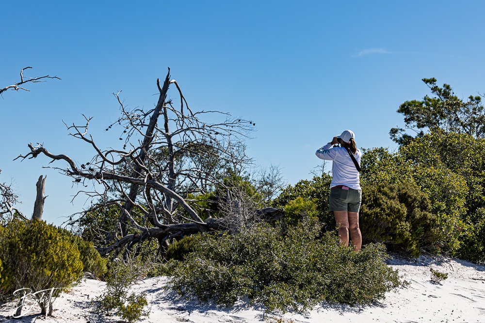 20251112-Cape San Blas All -70.jpg