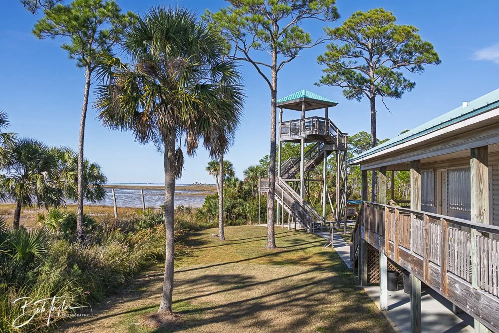 20251112-Cape San Blas All -105.jpg