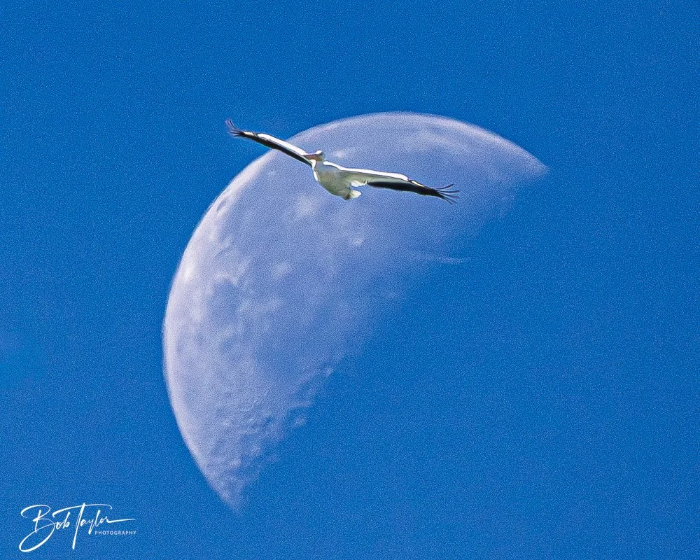 20251112-Cape San Blas All -82.jpg