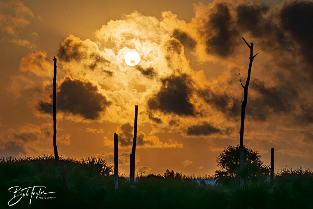 20251109-Cape San Blas All -15.jpg