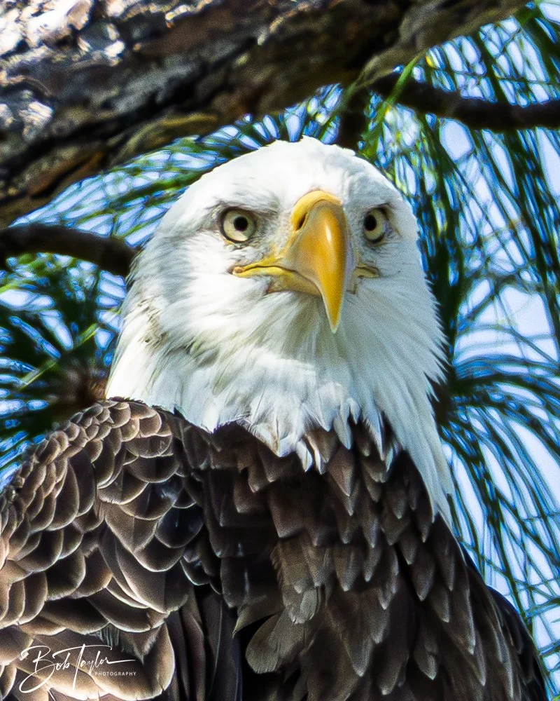 20251114-Cape San Blas All -197.jpg