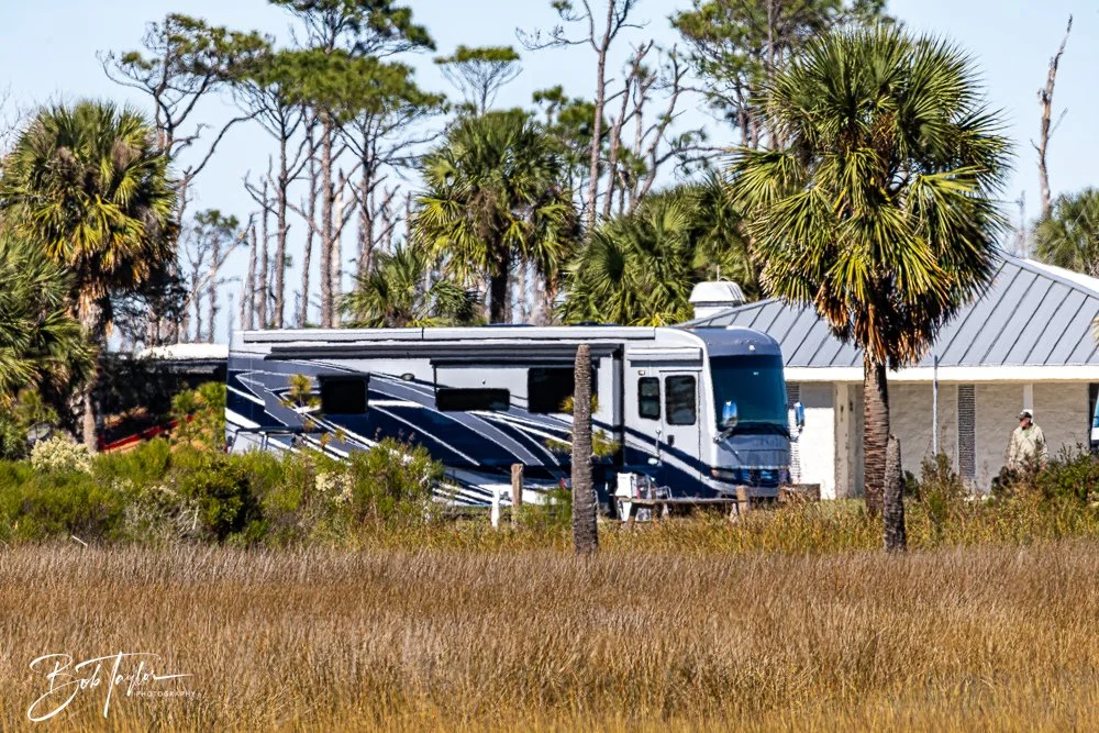 20251111-Cape San Blas All -46.jpg