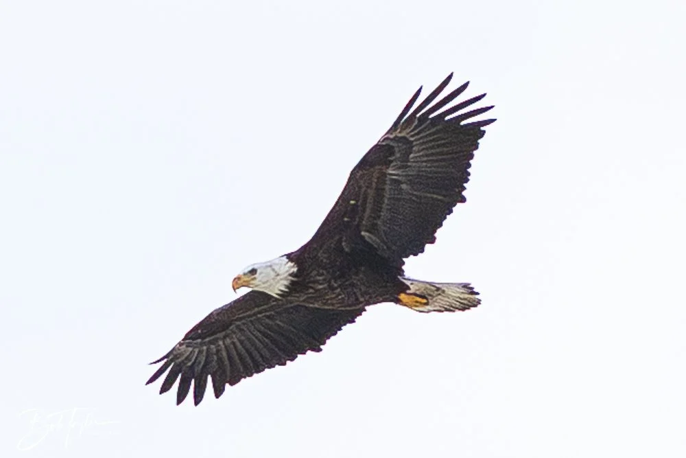 20251109-Cape San Blas All -11.jpg