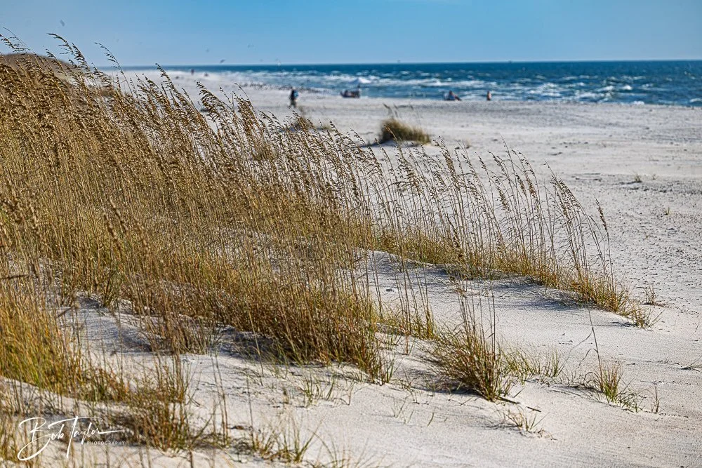 20251109-Cape San Blas All -2.jpg