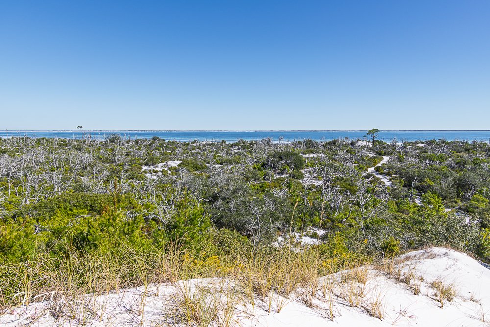 20251112-Cape San Blas All -71.jpg