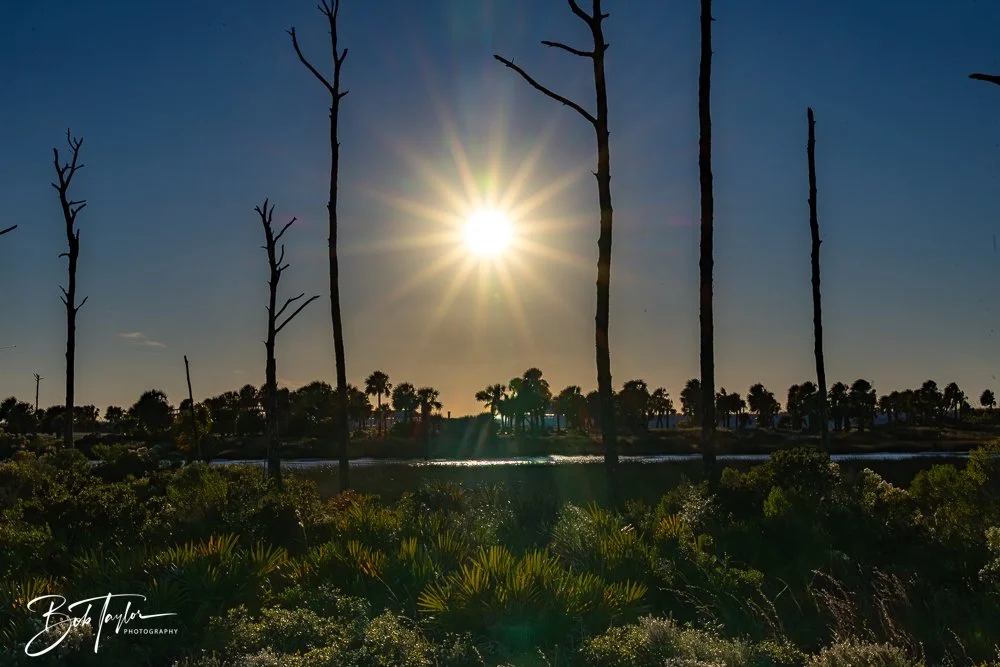 20251110-Cape San Blas All -24.jpg