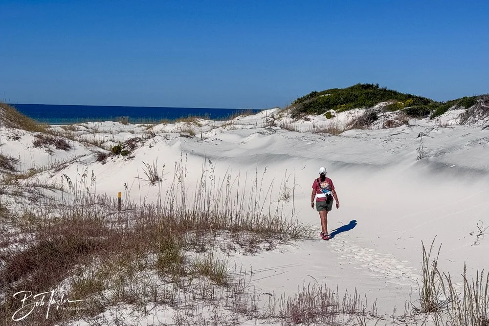 20251112-Cape San Blas All -95.jpg