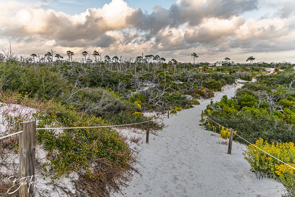 20251109-Cape San Blas All -12.jpg