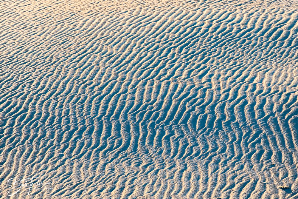 20251111-Cape San Blas All -66.jpg