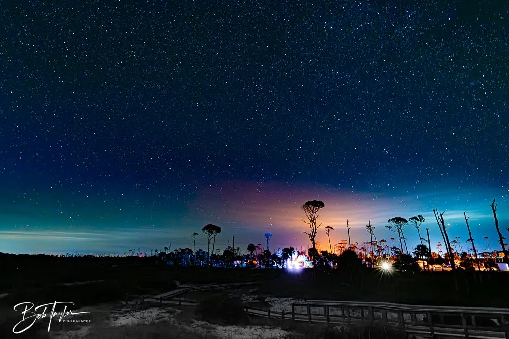 20251112-Cape San Blas All -115.jpg