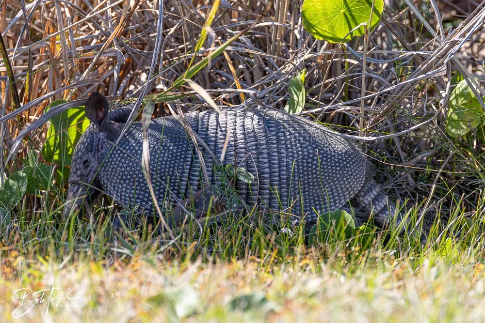 20251113-Cape San Blas All -119.jpg
