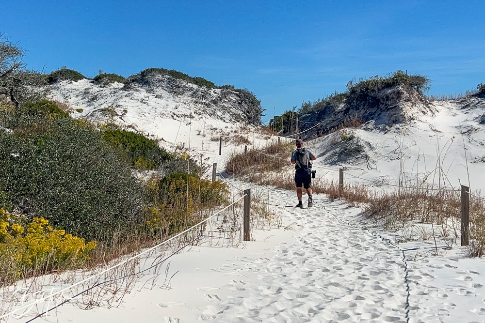 20251112-Cape San Blas All -103.jpg