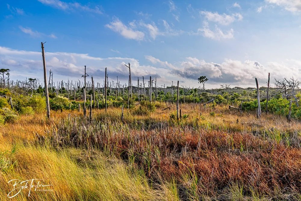 20251109-Cape San Blas All -5.jpg