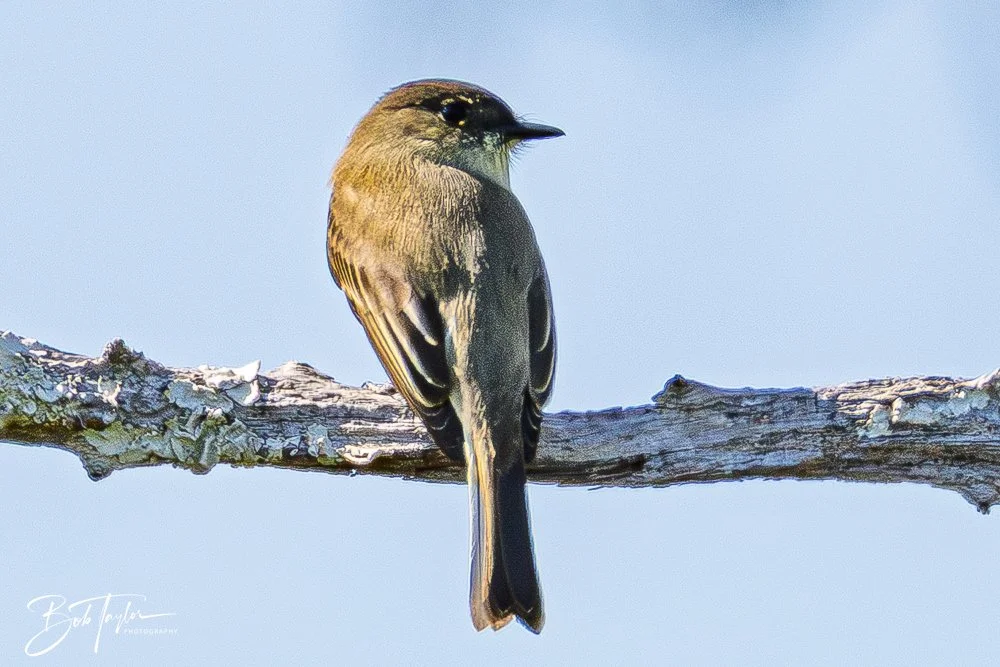 20251114-Cape San Blas All -194.jpg