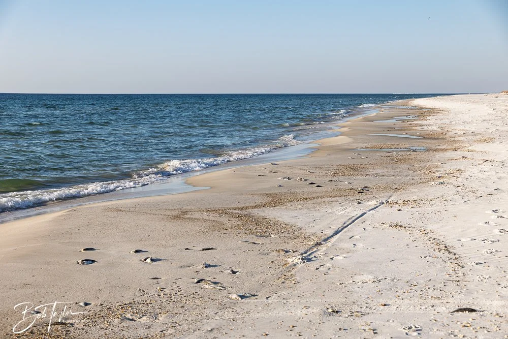 20251114-Cape San Blas All -240.jpg