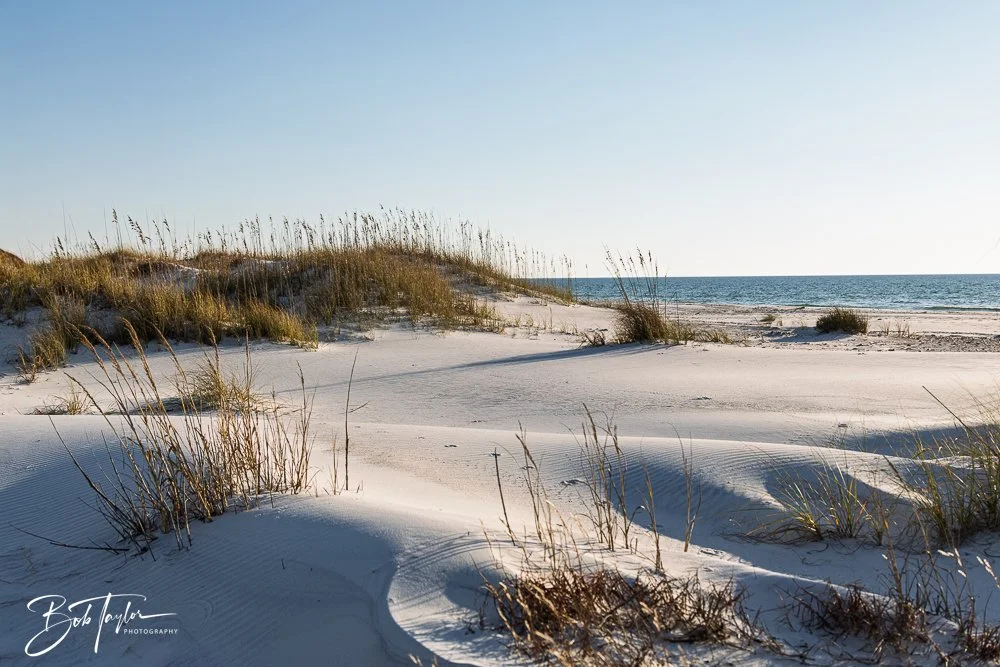 20251114-Cape San Blas All -239.jpg