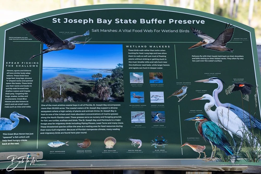 20251112-Cape San Blas All -107.jpg